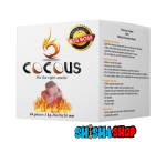 COCOUS NATURAL HOOKAH COALS 26 MM - charcoal cubes 100% natural coconut shells